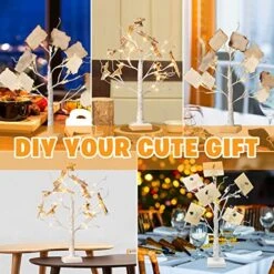 EAMBRITE Money Tree Gift Holder, Lighted Birch Tree 2FT 24LED, Battery/USB Powered Timer Light Up Display Twig Gift Card Tree With 12 Clear Clips And 6 Cards For Home Christmas Fathers Day Photo Memo -Artificial Trees Store 51Jw0o47cBL