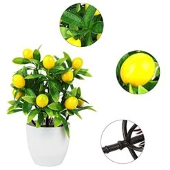 FQQWEE 2Pcs Artificial Lemon Tree Potted Plants 10Inch Mini Greenery Fake Lemon Fruit Bonsai Simulation Yellow Lemon Tree Topiary Plants For Home Offoce Party Decoration … 12 FQQWEE 2Pcs Artificial Lemon Tree Potted Plants 10Inch Mini Greenery Fake Lemon Fruit Bonsai Simulation Yellow Lemon Tree Topiary Plants For Home Offoce Party Decoration … -Artificial Trees Store 51K4Bd6WU4L