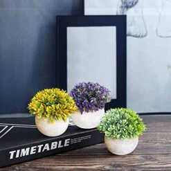 GENERIC 3 Bundle Pack Small Potted Artificial Fake Plastic Plants, Faux Desk Shrub Plants For Indoor Home Office Kitchen Bathroom Farmhouse CoffeeTable Room Decor 11 GENERIC 3 Bundle Pack Small Potted Artificial Fake Plastic Plants, Faux Desk Shrub Plants For Indoor Home Office Kitchen Bathroom Farmhouse CoffeeTable Room Decor -Artificial Trees Store 51K8R9CVKvL