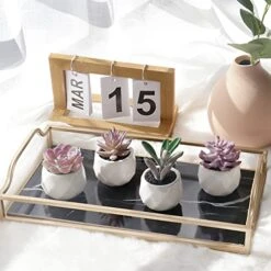 Tiita Artificial Faux Succulents In Pots Fake Plants Ceramic Arrangement Planter Small Mini Tiny Decoration For Home Office Desk Window Sill Bathroom Bedroom Outdoor Indoor 4 Set -Artificial Trees Store 51K9mDyUgtL
