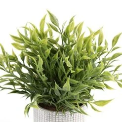 Cyrra Small Size Bathroom Living Room Laundry Room Guest Room Shop Table Shelf Decor Ideas Indoor Green Artificial Grass Shrub Plants 8 (High) X 4 (Pot Diameter Inch (Nandina S) 9 Cyrra Small Size Bathroom Living Room Laundry Room Guest Room Shop Table Shelf Decor Ideas Indoor Green Artificial Grass Shrub Plants 8 (High) X 4 (Pot Diameter Inch (Nandina S) -Artificial Trees Store 51KPLQBAqlL