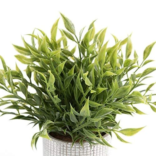 Cyrra Small Size Bathroom Living Room Laundry Room Guest Room Shop Table Shelf Decor Ideas Indoor Green Artificial Grass Shrub Plants 8 (High) X 4 (Pot Diameter Inch (Nandina S) 4 Cyrra Small Size Bathroom Living Room Laundry Room Guest Room Shop Table Shelf Decor Ideas Indoor Green Artificial Grass Shrub Plants 8 (High) X 4 (Pot Diameter Inch (Nandina S) - Image 2