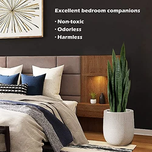 Worth Garden 3ft Artificial Snake Plant Fake Sansevieria Indoor Outdoor, 28 Thick Leaves Lifelike Faux Silk Plant, Home Decor Mother In Law Tongue Plant 35in, Black Pot & 20g Dry Moss Included, Green 4 Worth Garden 3ft Artificial Snake Plant Fake Sansevieria Indoor Outdoor, 28 Thick Leaves Lifelike Faux Silk Plant, Home Decor Mother In Law Tongue Plant 35in, Black Pot & 20g Dry Moss Included, Green - Image 2