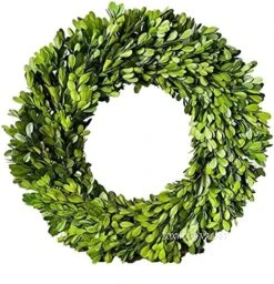BoxwoodValley Preserved Boxwood Wreath 16 Inch Year Round Green Wreath For Halloween, Christmas Wreath Decor Green Garland For Indoor Green Autumn Wreath Decor (16 Inch) -Artificial Trees Store 51L4DMgTpyS. AC
