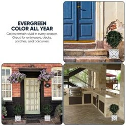 Tin Roof Interiors 24" Tall Artificial Boxwood Shrubs (2), Includes Galvanized Metal Pot, Outdoor Ready, Natural Looking Fake Potted Shrubs 22 Tin Roof Interiors 24" Tall Artificial Boxwood Shrubs (2), Includes Galvanized Metal Pot, Outdoor Ready, Natural Looking Fake Potted Shrubs -Artificial Trees Store 51LEg8lgtJL