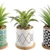 Letinaner Artificial Succulent Plants Fake Pineapple In Pots Artificial Faux Plants Greenery Decorations For Hotel Restaurant Home Office Kitchen Table, Set Of 3 1 Letinaner Artificial Succulent Plants Fake Pineapple In Pots Artificial Faux Plants Greenery Decorations For Hotel Restaurant Home Office Kitchen Table, Set Of 3 -Artificial Trees Store 51LOmQ0HCxL