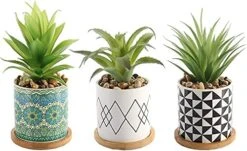 Letinaner Artificial Succulent Plants Fake Pineapple In Pots Artificial Faux Plants Greenery Decorations For Hotel Restaurant Home Office Kitchen Table, Set Of 3 13 Letinaner Artificial Succulent Plants Fake Pineapple In Pots Artificial Faux Plants Greenery Decorations For Hotel Restaurant Home Office Kitchen Table, Set Of 3 -Artificial Trees Store 51LOmQ0HCxL. AC