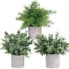 Winlyn Mini Potted Plants Artificial Eucalyptus Boxwood Rosemary Greenery In Pots Faux Potted Herbs Small Houseplants 8.3"-9" Tall For Indoor Greenery Tabletop Décor Centerpiece 3 Pack -Artificial Trees Store 51LdNynvurL