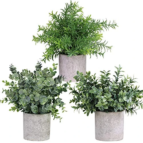 Winlyn Mini Potted Plants Artificial Eucalyptus Boxwood Rosemary Greenery In Pots Faux Potted Herbs Small Houseplants 8.3"-9" Tall For Indoor Greenery Tabletop Décor Centerpiece 3 Pack 3 Winlyn Mini Potted Plants Artificial Eucalyptus Boxwood Rosemary Greenery In Pots Faux Potted Herbs Small Houseplants 8.3"-9" Tall For Indoor Greenery Tabletop Décor Centerpiece 3 Pack