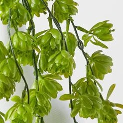 Factory Direct Craft Group Of 4 Green Cascading Artificial Hops Bushes For Home Decor | Indoor Or Outdoor Use | 26" L -Artificial Trees Store 51LrbIgIibL
