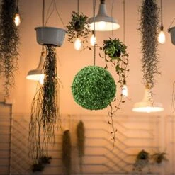 VOSAREA Artificial Plants Plant Boxwood Sphere Decor Artificial Grass Pendant Ceiling Hanging Grass Artificial Plant Topiary Balls Artificial Topiary Balls (36CM) Office Decor 13 VOSAREA Artificial Plants Plant Boxwood Sphere Decor Artificial Grass Pendant Ceiling Hanging Grass Artificial Plant Topiary Balls Artificial Topiary Balls (36CM) Office Decor -Artificial Trees Store 51M2I8wKlVL