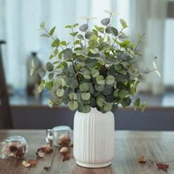 FUNARTY 6 Pcs Artificial Eucalyptus Leaves Stems 25in Tall With 80 Leaves Fake Silver Dollar Eucalyptus Plant Greenery Stems Branches For Farmhouse Vase Bouquets Wedding Home Decor -Artificial Trees Store 51MIRvAOyqL