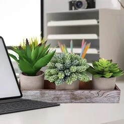 Winlyn Set Of 3 Artificial Potted Succulents Plants In Rustic Wood Tray Succulents Arrangement For Farmhouse Table Centerpiece Desk Windowsill Shelf Counter Home Bathroom Kitchen Office Country Decor -Artificial Trees Store 51MNKvdXbvL
