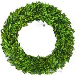 BoxwoodValley Preserved Boxwood Wreath 16 Inch Year Round Green Wreath For Halloween, Christmas Wreath Decor Green Garland For Indoor Green Autumn Wreath Decor (16 Inch) -Artificial Trees Store 51MXKimirlL. AC