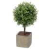 WHW Whole House Worlds Realistic Faux Potted Boxwood Ball Topiary Tree, Gray Stone Finished Planter, 10 1/4 Inches Tall 2 WHW Whole House Worlds Realistic Faux Potted Boxwood Ball Topiary Tree, Gray Stone Finished Planter, 10 1/4 Inches Tall -Artificial Trees Store 51MYHD5AzSL
