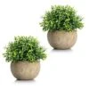 Velener 2Pcs Mini Artificial Boxwood Topiary Faux Plants Indoor- Small Fake Plants Decor Magnolia Home Office Desk Cubicle Farmhouse Kitchen Bookshelf Bedroom Bathroom Decor, Aloe Vera Zen Garden -Artificial Trees Store 51MaEZgPiyL