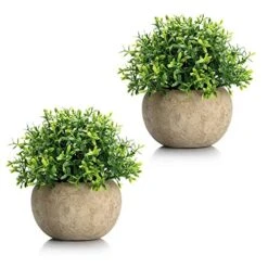 Velener 2Pcs Mini Artificial Boxwood Topiary Faux Plants Indoor- Small Fake Plants Decor Magnolia Home Office Desk Cubicle Farmhouse Kitchen Bookshelf Bedroom Bathroom Decor, Aloe Vera Zen Garden
