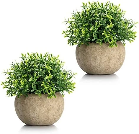 Velener Mini Sage Green Potted Boxwood Topiary Artificial Plants For Home Decor Indoor, Farmhouse House Plant Office Small Desk Shelf Apartment Coffee Bar Bathroom Decor Guest Room, Small Fake Plant 9 Velener Mini Sage Green Potted Boxwood Topiary Artificial Plants For Home Decor Indoor, Farmhouse House Plant Office Small Desk Shelf Apartment Coffee Bar Bathroom Decor Guest Room, Small Fake Plant - Image 7