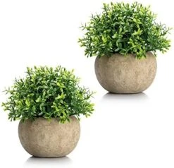 Velener 2Pcs Mini Artificial Boxwood Topiary Faux Plants Indoor- Small Fake Plants Decor Magnolia Home Office Desk Cubicle Farmhouse Kitchen Bookshelf Bedroom Bathroom Decor, Aloe Vera Zen Garden -Artificial Trees Store 51MaEZgPiyL. AC