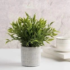 Cyrra Small Size Bathroom Living Room Laundry Room Guest Room Shop Table Shelf Decor Ideas Indoor Green Artificial Grass Shrub Plants 8 (High) X 4 (Pot Diameter Inch (Nandina S) 11 Cyrra Small Size Bathroom Living Room Laundry Room Guest Room Shop Table Shelf Decor Ideas Indoor Green Artificial Grass Shrub Plants 8 (High) X 4 (Pot Diameter Inch (Nandina S) -Artificial Trees Store 51N0864o5VL