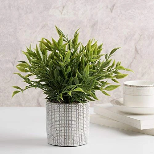 Cyrra Small Size Bathroom Living Room Laundry Room Guest Room Shop Table Shelf Decor Ideas Indoor Green Artificial Grass Shrub Plants 8 (High) X 4 (Pot Diameter Inch (Nandina S) 6 Cyrra Small Size Bathroom Living Room Laundry Room Guest Room Shop Table Shelf Decor Ideas Indoor Green Artificial Grass Shrub Plants 8 (High) X 4 (Pot Diameter Inch (Nandina S) - Image 4