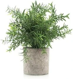 Velener Artificial Potted Rosemary Plants- Rustic Farmhouse Topiary Shrubs For Decoration Centerpieces Living Room, Shelf Bedroom Aesthetic Green Bathroom Accessories Boho Small Desk Plant Office 14 Velener Artificial Potted Rosemary Plants- Rustic Farmhouse Topiary Shrubs For Decoration Centerpieces Living Room, Shelf Bedroom Aesthetic Green Bathroom Accessories Boho Small Desk Plant Office -Artificial Trees Store 51NK3jUadZL. AC