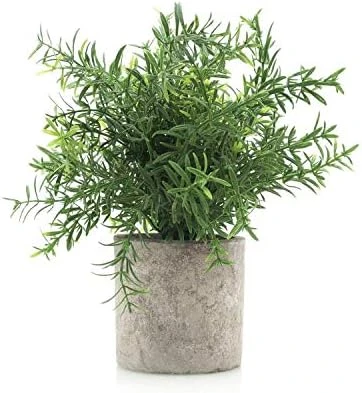 Velener Artificial Potted Rosemary Plants- Rustic Farmhouse Topiary Shrubs For Decoration Centerpieces Living Room, Shelf Bedroom Aesthetic Green Bathroom Accessories Boho Small Desk Plant Office 8 Velener Artificial Potted Rosemary Plants- Rustic Farmhouse Topiary Shrubs For Decoration Centerpieces Living Room, Shelf Bedroom Aesthetic Green Bathroom Accessories Boho Small Desk Plant Office - Image 6