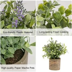 PENGYEE Artificial Plant, 3Pcs Mini Plants Artificial Potted Set Fake Green Grass Faux Plastic Green Rosemary Topiary Shrubs For Home Office Desk, Kitchen Counter Decoration -Artificial Trees Store 51NOyfD8pqL