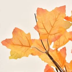 Lvydec Lighted Artificial Fall Maple Tree Clearance, 23-Inch Battry Operated Tabletop Autumn Tree For Home Festival Decoration, Warm White Light 8 Lvydec Lighted Artificial Fall Maple Tree Clearance, 23-Inch Battry Operated Tabletop Autumn Tree For Home Festival Decoration, Warm White Light -Artificial Trees Store 51NQsgrKT2L