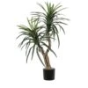 Vickerman Everyday 4' Artificial Marginata Bush In A Black Plastic Pot - Lifelike Home Office Decor - Faux Indoor Potted Bush 1 Vickerman Everyday 4' Artificial Marginata Bush In A Black Plastic Pot - Lifelike Home Office Decor - Faux Indoor Potted Bush -Artificial Trees Store 51NlPIsCU6L