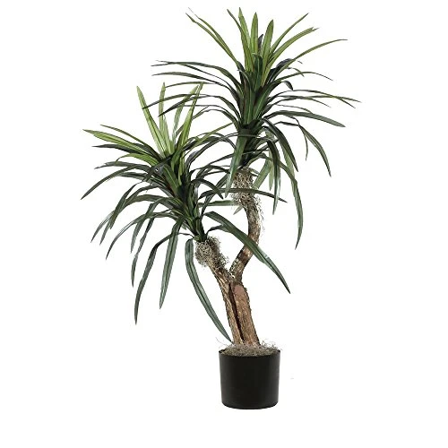 Vickerman Everyday 4' Artificial Marginata Bush In A Black Plastic Pot - Lifelike Home Office Decor - Faux Indoor Potted Bush 3 Vickerman Everyday 4' Artificial Marginata Bush In A Black Plastic Pot - Lifelike Home Office Decor - Faux Indoor Potted Bush