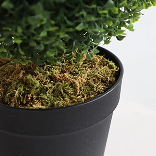 Momoplant (2 Pack Artificial Cypress Topiary Ball Tree -Triple Ball Boxwood- 37Inchs Triple Ball Boxwood Indoor/Outdoor Topiaries Trees - Artificial Outdoor Plants Cypress Plant 6 Momoplant (2 Pack Artificial Cypress Topiary Ball Tree -Triple Ball Boxwood- 37Inchs Triple Ball Boxwood Indoor/Outdoor Topiaries Trees - Artificial Outdoor Plants Cypress Plant - Image 4