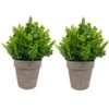 IMIYOKU Artificial Plants Topiary Plastic Plants 2Pcs Mini Faux Potted Shrubs Plants Perfect For Conference Room Bedroom Hallway Living Room Windowsill Corridor Office Decor (Pattern2) -Artificial Trees Store 51O7utZdHNL