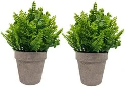 IMIYOKU Artificial Plants Topiary Plastic Plants 2Pcs Mini Faux Potted Shrubs Plants Perfect For Conference Room Bedroom Hallway Living Room Windowsill Corridor Office Decor (Pattern2) -Artificial Trees Store 51O7utZdHNL. AC