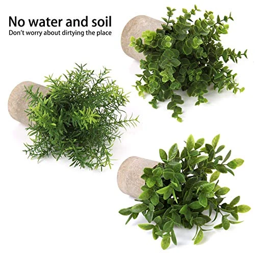Briful Artificial Potted Plants Set Of 3 Small Faux Plant Eucalyptus Mini Fake Plant Decor For Home Table Office Room Desk Bathroom Shelf Kitchen Rustic Farmhouse Mantel Decoration 4 Briful Artificial Potted Plants Set Of 3 Small Faux Plant Eucalyptus Mini Fake Plant Decor For Home Table Office Room Desk Bathroom Shelf Kitchen Rustic Farmhouse Mantel Decoration - Image 2