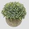 Nerseki Artificial Plants Plastic Mini Fake Fresh Lifelike Green Grass In Gray Pot For Home Decor (Snow-1) -Artificial Trees Store 51OPsWMbTlL