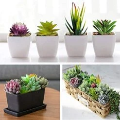 Anoak Artificial Succulent Plants - 16 Pcs Set Faux Succulents Unpotted Fake Succulent Plants, Premium Crafting DIY Floral Decor For Home Garden Office Party (High Realistic) -Artificial Trees Store 51OQV5NUyML