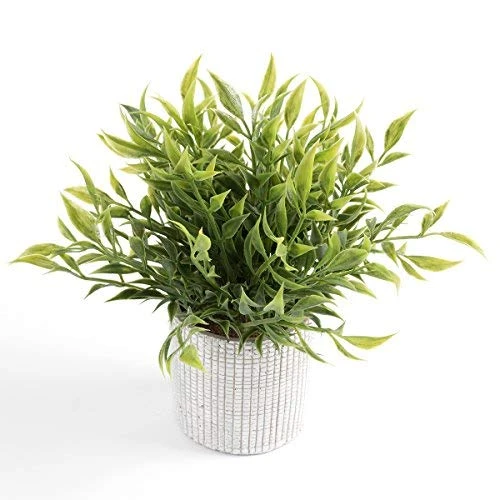 Cyrra Small Size Bathroom Living Room Laundry Room Guest Room Shop Table Shelf Decor Ideas Indoor Green Artificial Grass Shrub Plants 8 (High) X 4 (Pot Diameter Inch (Nandina S) 3 Cyrra Small Size Bathroom Living Room Laundry Room Guest Room Shop Table Shelf Decor Ideas Indoor Green Artificial Grass Shrub Plants 8 (High) X 4 (Pot Diameter Inch (Nandina S)