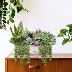 14 Pcs Assorted Artificial Succulents Fake Plants In Rectangular Wooden Pots Artificial Potted Succulents Plants Arrangement For Table Centerpiece Windowsill Shelf Mantel Tropical Greenery Decor -Artificial Trees Store 51OxMJDrnuL