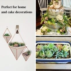 Happyhapi 12 Pcs Artificial Succulents Mini Fake Plants Unpotted Faux Succulent For Craft, Small Plastic Succulents Assortment In Flocked Green Floral Decor For Party, Cake, Garden & Outdoor 9 Happyhapi 12 Pcs Artificial Succulents Mini Fake Plants Unpotted Faux Succulent For Craft, Small Plastic Succulents Assortment In Flocked Green Floral Decor For Party, Cake, Garden & Outdoor -Artificial Trees Store 51P365nKhTL