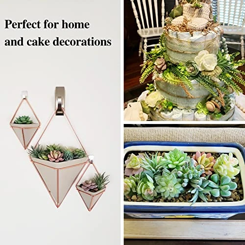 Happyhapi 12 Pcs Artificial Succulents Mini Fake Plants Unpotted Faux Succulent For Craft, Small Plastic Succulents Assortment In Flocked Green Floral Decor For Party, Cake, Garden & Outdoor 5 Happyhapi 12 Pcs Artificial Succulents Mini Fake Plants Unpotted Faux Succulent For Craft, Small Plastic Succulents Assortment In Flocked Green Floral Decor For Party, Cake, Garden & Outdoor - Image 3