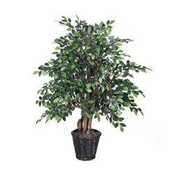 Vickerman Everyday 4' Artificial Mini FIcus Extra Full Bush In A Rattan Basket - Realistic Indoor Greenery Decor - Faux Potted Decoration For Home Or Office Accent