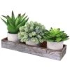 Winlyn Set Of 3 Artificial Potted Succulents Plants In Rustic Wood Tray Succulents Arrangement For Farmhouse Table Centerpiece Desk Windowsill Shelf Counter Home Bathroom Kitchen Office Country Decor -Artificial Trees Store 51P91HCZEYL