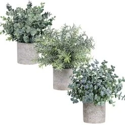 Winlyn Set Of 3 Mini Potted Artificial Eucalyptus Plants Plastic Fake Green Rosemary Plant For Home Decor Office Desk Shower Room Decoration 9 Winlyn Set Of 3 Mini Potted Artificial Eucalyptus Plants Plastic Fake Green Rosemary Plant For Home Decor Office Desk Shower Room Decoration -Artificial Trees Store 51PGasSfzyL
