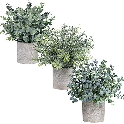 Winlyn Set Of 3 Mini Potted Artificial Eucalyptus Plants Plastic Fake Green Rosemary Plant For Home Decor Office Desk Shower Room Decoration 6 Winlyn Set Of 3 Mini Potted Artificial Eucalyptus Plants Plastic Fake Green Rosemary Plant For Home Decor Office Desk Shower Room Decoration - Image 4