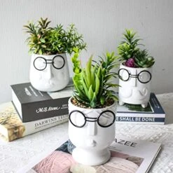 ALIWINER Artificial Succulents Plants With Ceramic Pot Decor Figurines Living Room Decor Home Decoration 13 ALIWINER Artificial Succulents Plants With Ceramic Pot Decor Figurines Living Room Decor Home Decoration -Artificial Trees Store 51Q6bPQZjyL