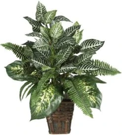 Nearly Natural 6527 Greens With Wicker Decorative Silk Plant, Green 30 In X 9 In X 7.5 In -Artificial Trees Store 51QHQcUL8QL. AC