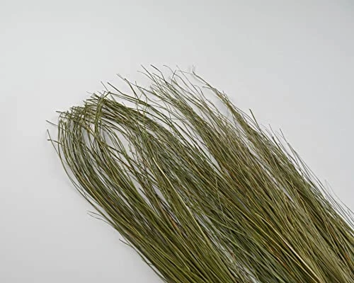 Dried Décor Dune Grass - Perfect For Home Décor, Vases, Wedding, Floral Arrangements, Garden, Office 4 Dried Décor Dune Grass - Perfect For Home Décor, Vases, Wedding, Floral Arrangements, Garden, Office - Image 2