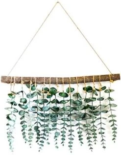 LokoVynes Artificial Eucalyptus Wall Decor - Wall Hanging Eucalyptus Greenery Gives Any Room A Natural, Trendy, Modern Feel - Boho Bedroom Decorations, Bathroom Wall Decor, Kitchen Decorations 11 LokoVynes Artificial Eucalyptus Wall Decor - Wall Hanging Eucalyptus Greenery Gives Any Room A Natural, Trendy, Modern Feel - Boho Bedroom Decorations, Bathroom Wall Decor, Kitchen Decorations -Artificial Trees Store 51QjlyL2SdL. AC
