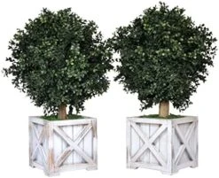 Tin Roof Interiors 24" Tall Artificial Boxwood Shrubs (2), Includes Galvanized Metal Pot, Outdoor Ready, Natural Looking Fake Potted Shrubs 31 Tin Roof Interiors 24" Tall Artificial Boxwood Shrubs (2), Includes Galvanized Metal Pot, Outdoor Ready, Natural Looking Fake Potted Shrubs -Artificial Trees Store 51QljYTVcrL. AC
